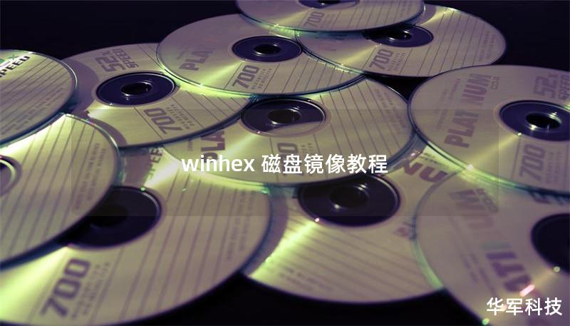 winhex 磁盘镜像教程