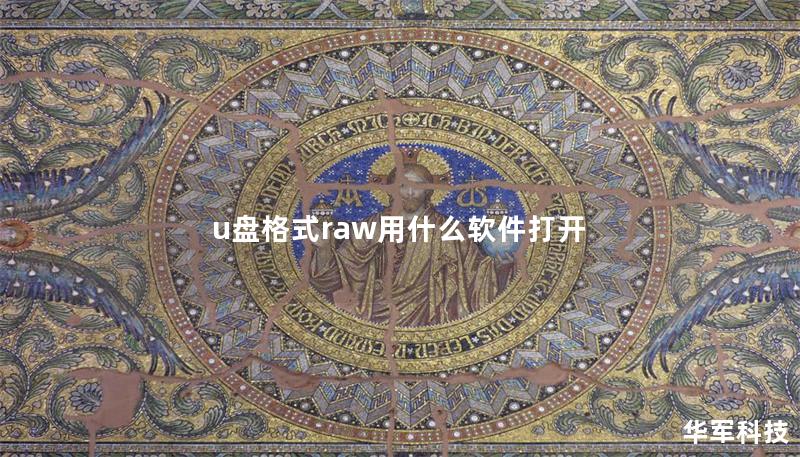 u盘格式raw用什么软件打开
