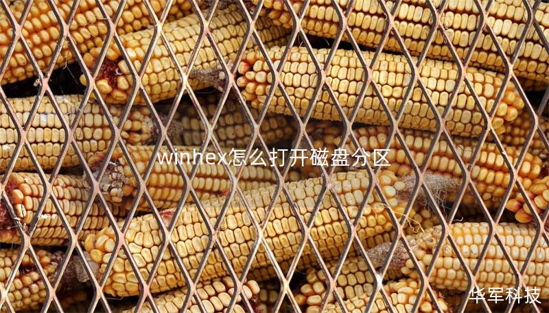 winhex怎么打开磁盘分区