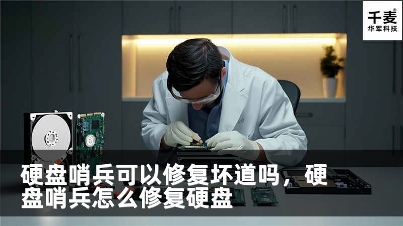硬盘哨兵可以修复坏道吗，硬盘哨兵怎么修复硬盘