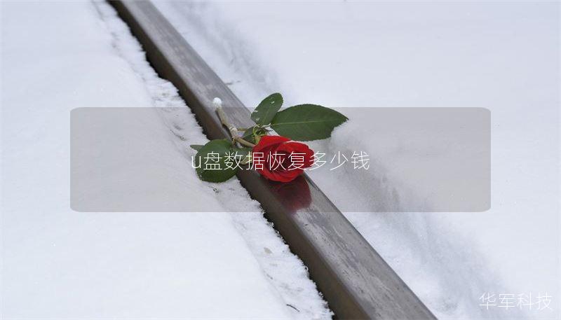 u盘数据恢复多少钱