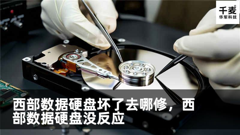 西部数据硬盘坏了去哪修，西部数据硬盘没反应