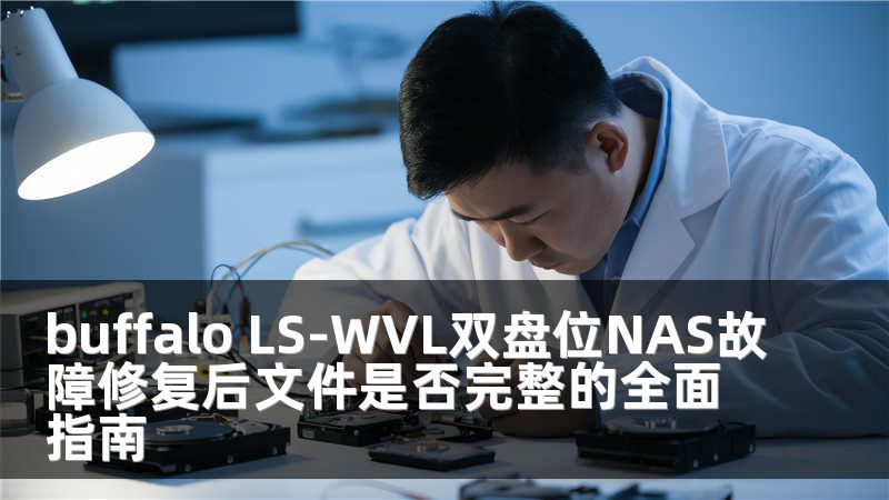 buffalo LS-WVL双盘位NAS故障修复后文件是否完整的全面指南