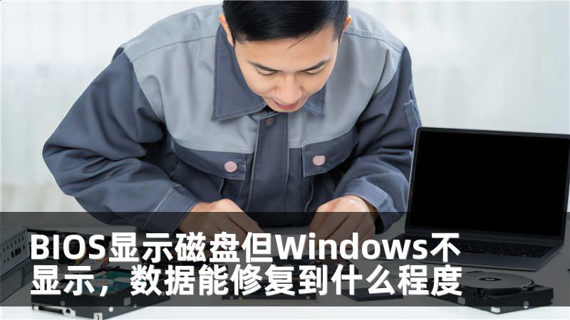 BIOS显示磁盘但Windows不显示，数据能修复到什么程度