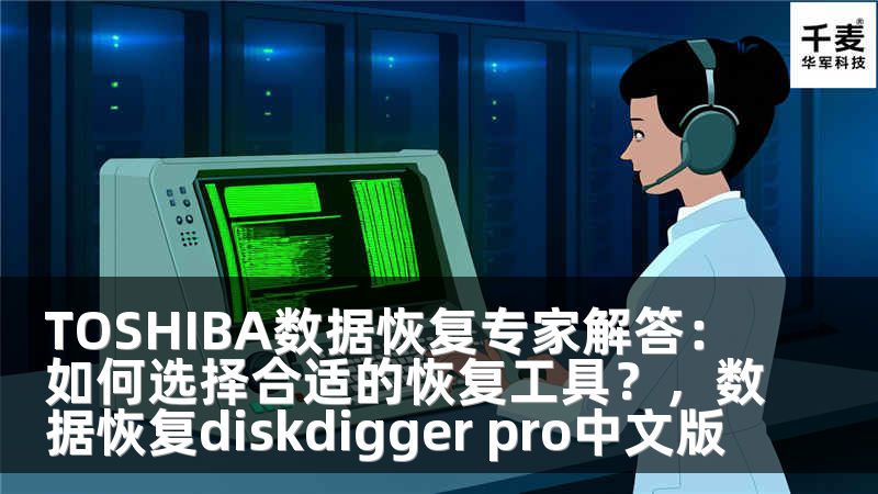 TOSHIBA数据恢复专家解答：如何选择合适的恢复工具？，数据恢复diskdigger pro中文版