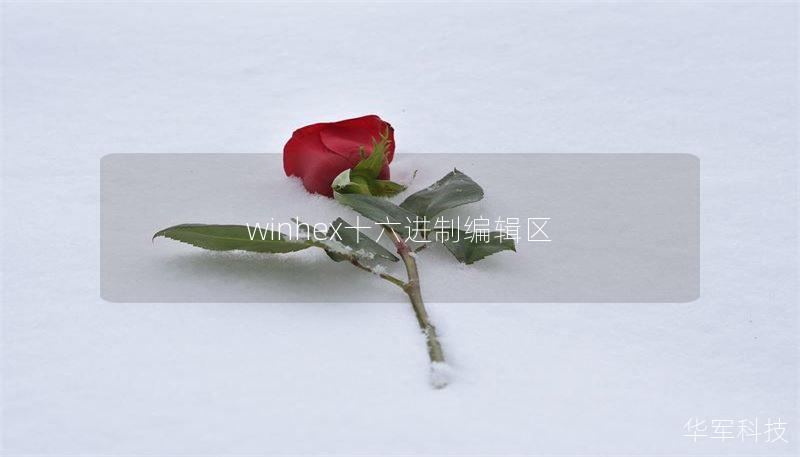 winhex十六进制编辑区