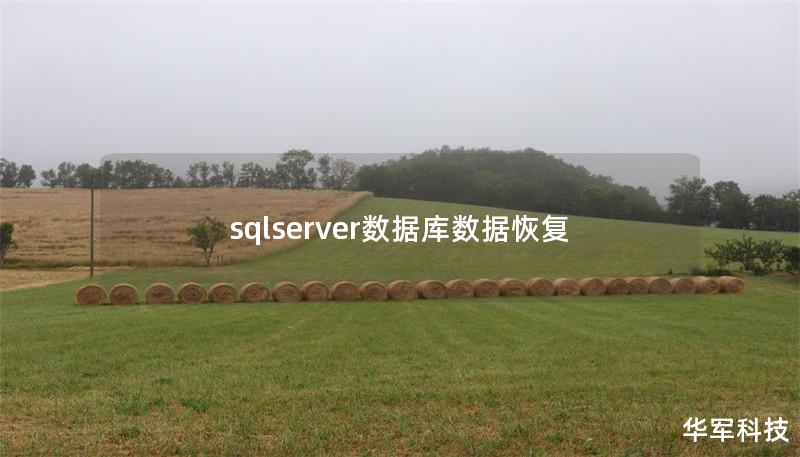 sqlserver数据库数据恢复
