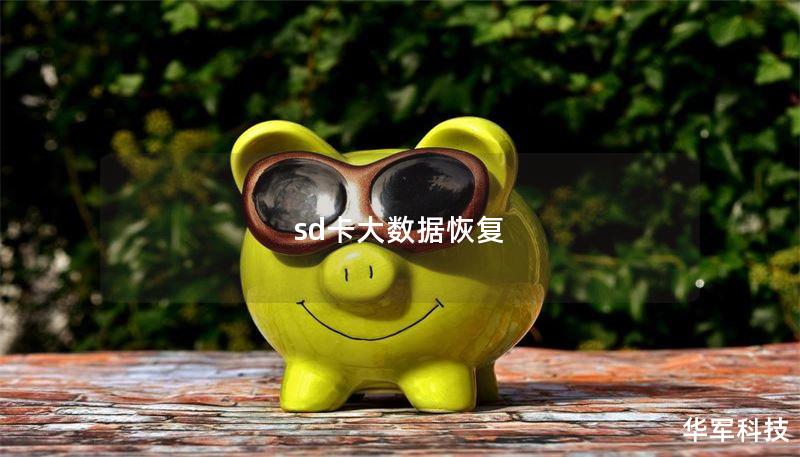 sd卡大数据恢复