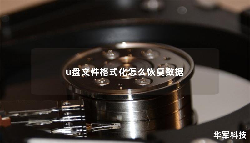 u盘文件格式化怎么恢复数据