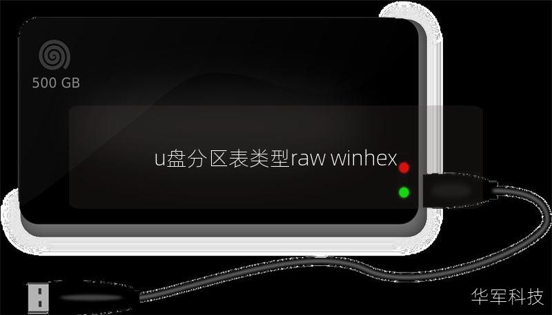 u盘分区表类型raw winhex