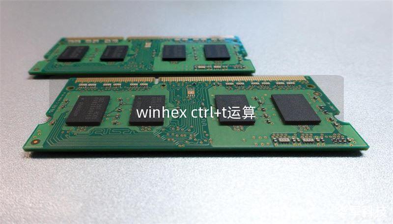 winhex ctrl+t运算