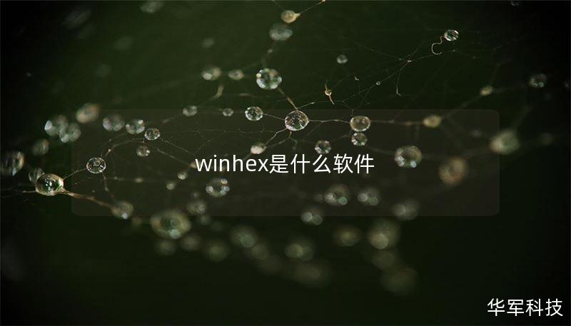 winhex是什么软件