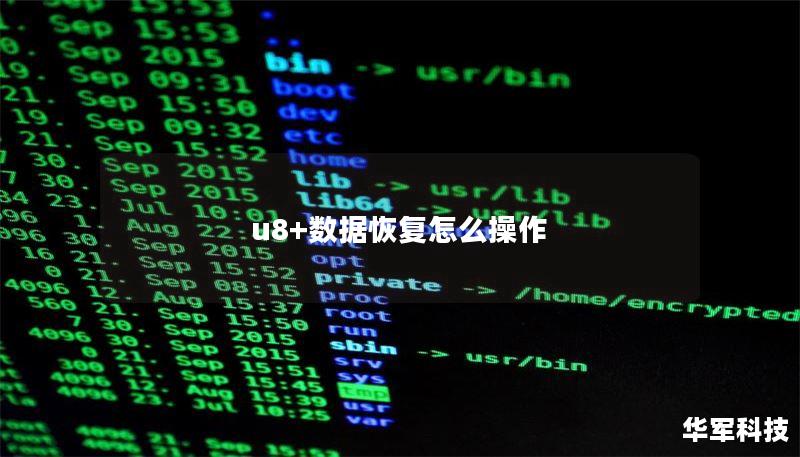 u8+数据恢复怎么操作