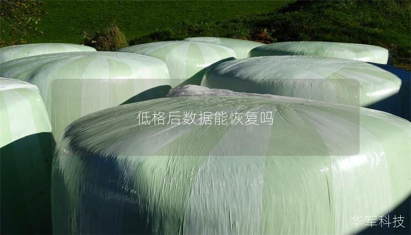 低格后数据能恢复吗