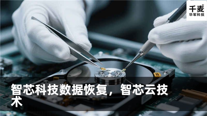 智芯科技数据恢复，智芯云技术