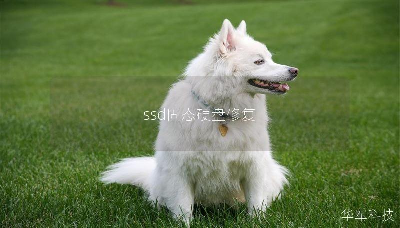 ssd固态硬盘修复