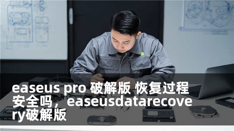 easeus pro 破解版 恢复过程安全吗，easeusdatarecovery破解版