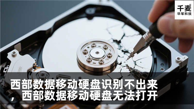 西部数据移动硬盘识别不出来，西部数据移动硬盘无法打开