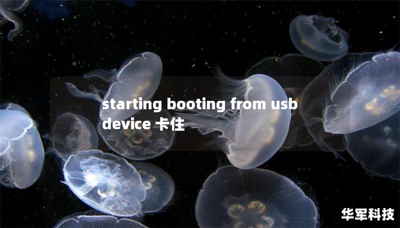 starting booting from usb device 卡住