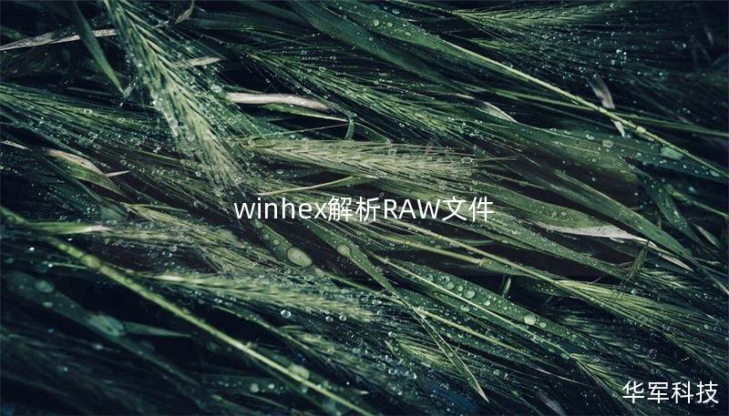 winhex解析RAW文件