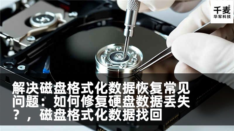 解决磁盘格式化数据恢复常见问题：如何修复硬盘数据丢失？，磁盘格式化数据找回