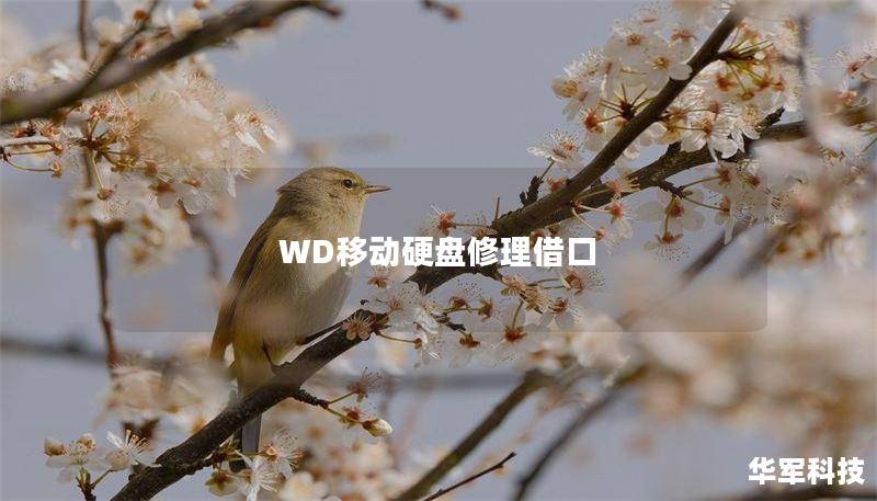 WD移动硬盘修理借口