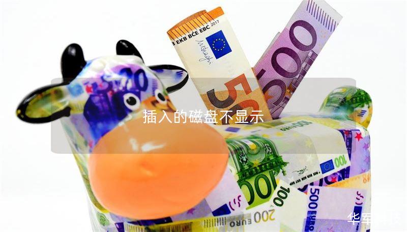 插入的磁盘不显示