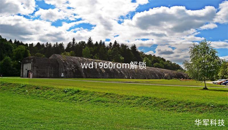 wd1960rom解锁
