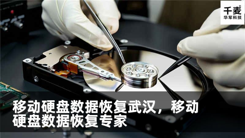 移动硬盘数据恢复武汉，移动硬盘数据恢复专家