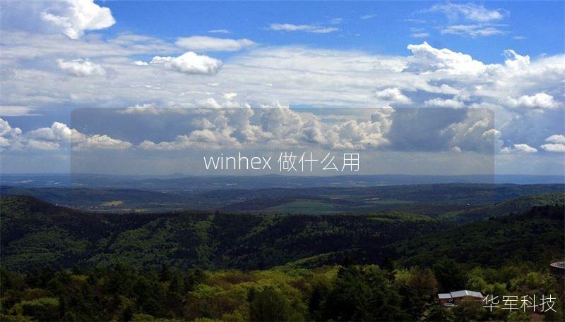 winhex 做什么用