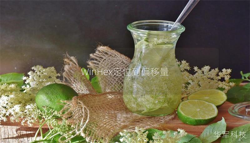 WinHex定位到偏移量