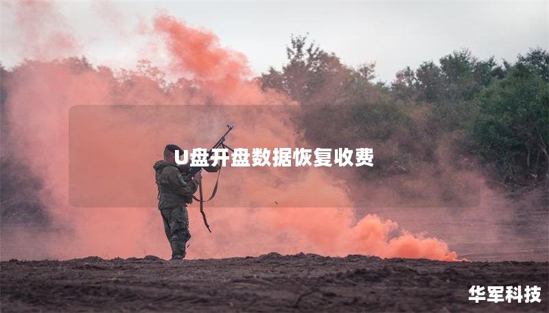 U盘开盘数据恢复收费