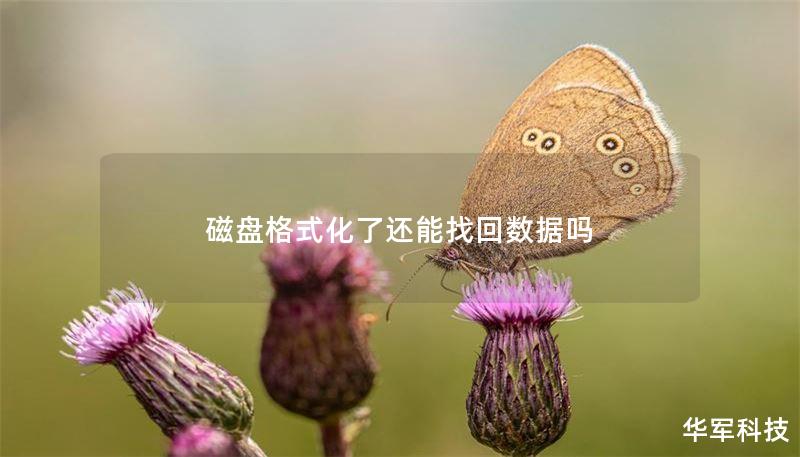 磁盘格式化了还能找回数据吗