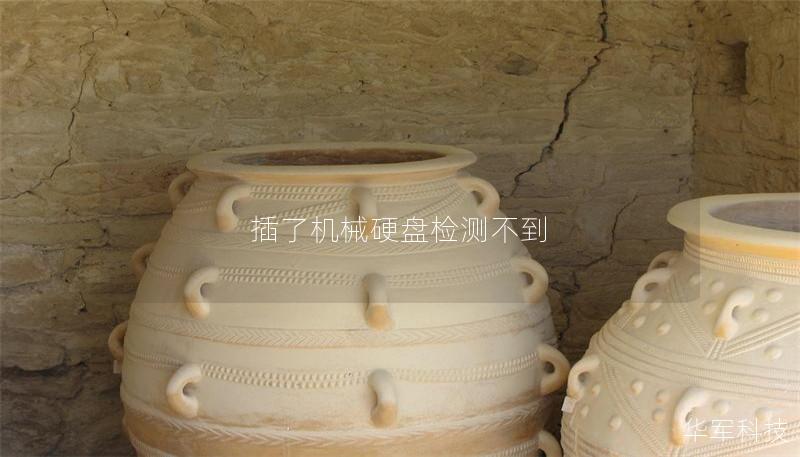 插了机械硬盘检测不到