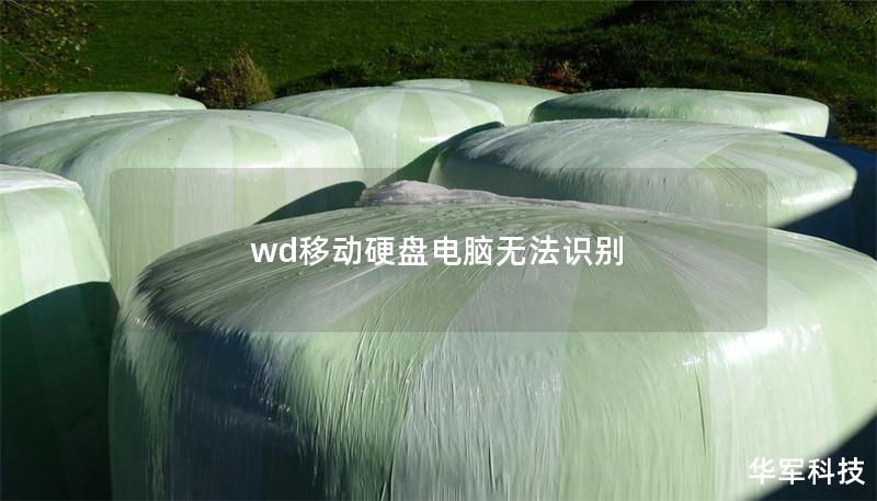 wd移动硬盘电脑无法识别
