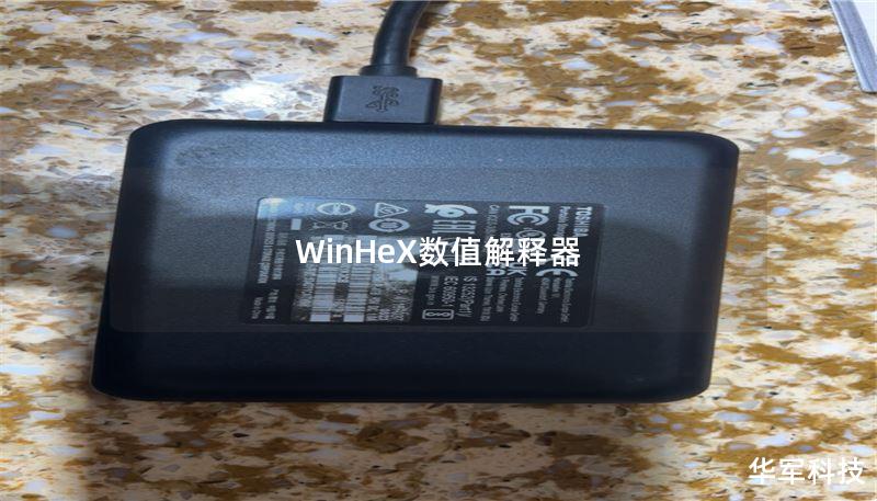 WinHeX数值解释器