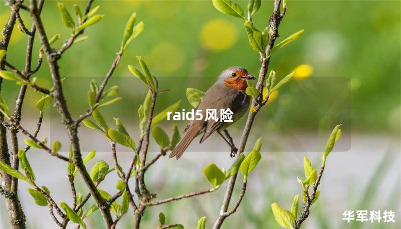 raid5风险