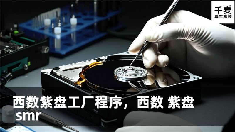 西数紫盘工厂程序，西数 紫盘 smr