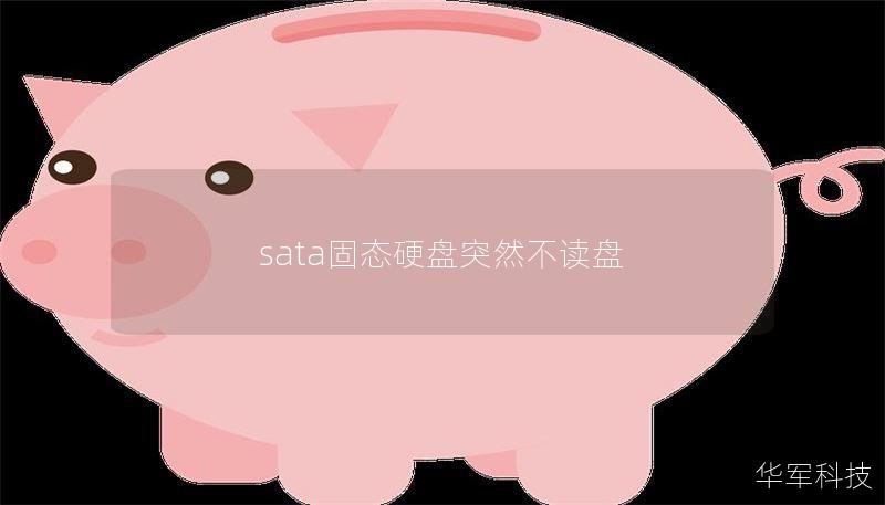 sata固态硬盘突然不读盘