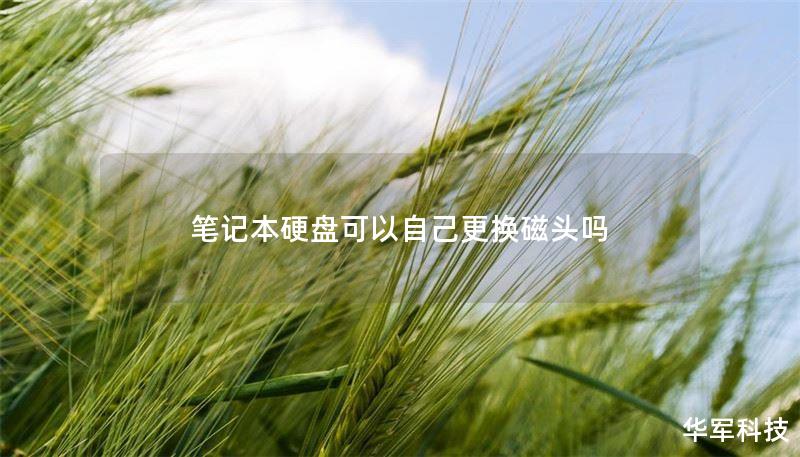 笔记本硬盘可以自己更换磁头吗