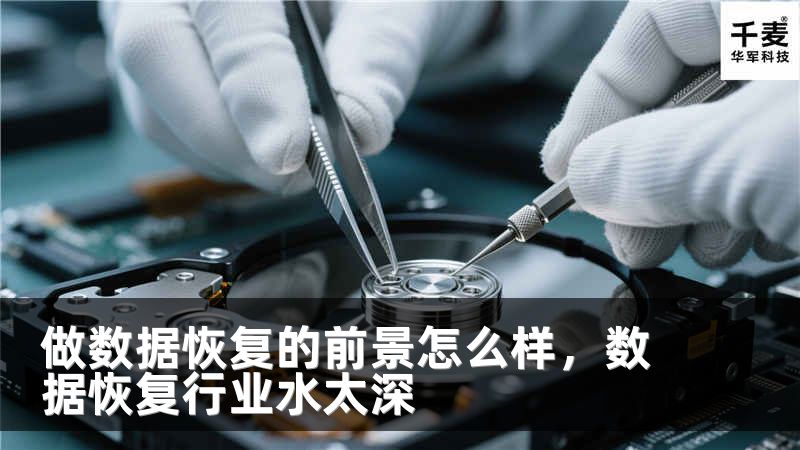 做数据恢复的前景怎么样，数据恢复行业水太深