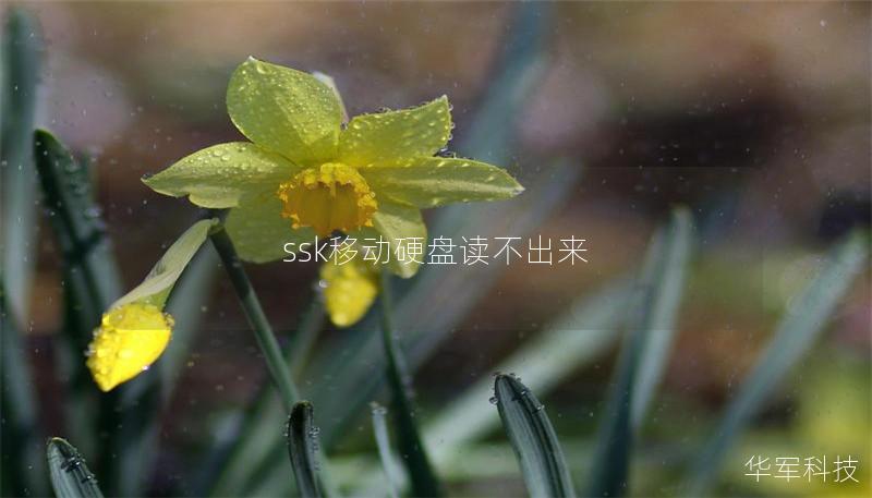 ssk移动硬盘读不出来