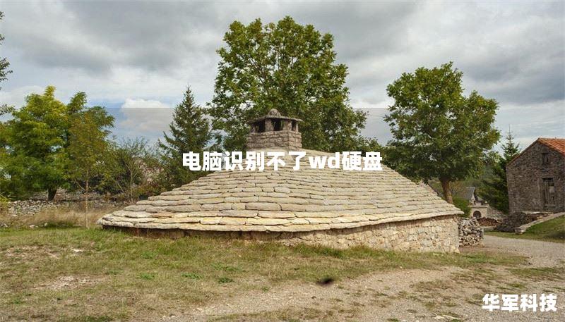电脑识别不了wd硬盘