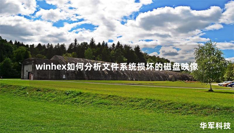 winhex如何分析文件系统损坏的磁盘映像