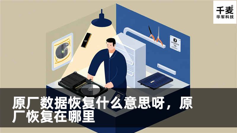 原厂数据恢复什么意思呀，原厂恢复在哪里