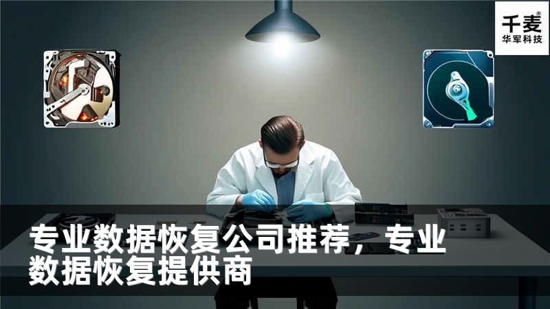 专业数据恢复公司推荐，专业数据恢复提供商