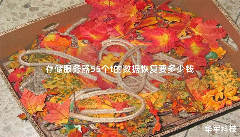 存储服务器55个t的数据恢复要多少钱