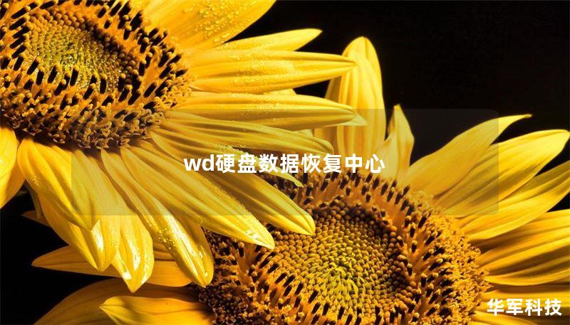 wd硬盘数据恢复中心