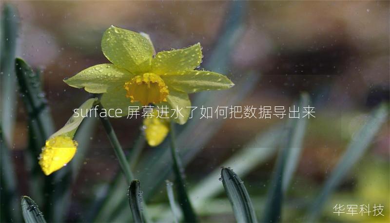 surface 屏幕进水了如何把数据导出来
