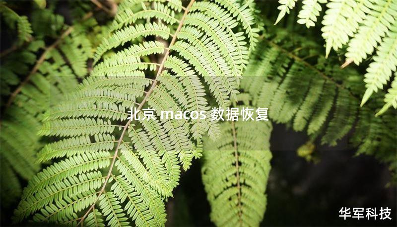 北京 macos 数据恢复